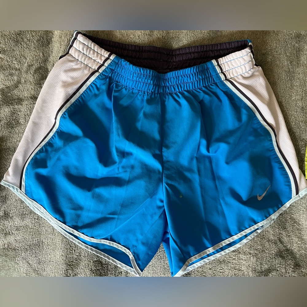 Nike Blue and White Athletic Shorts